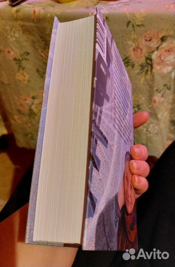 Людмила Улицкая Лестница Якова