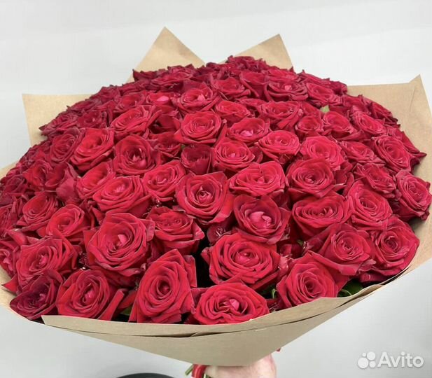 101 роза 51 роза Цветы