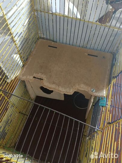 Клетка для грызунов бу