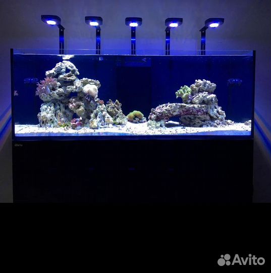 Аквариум для раков и живой рыбы