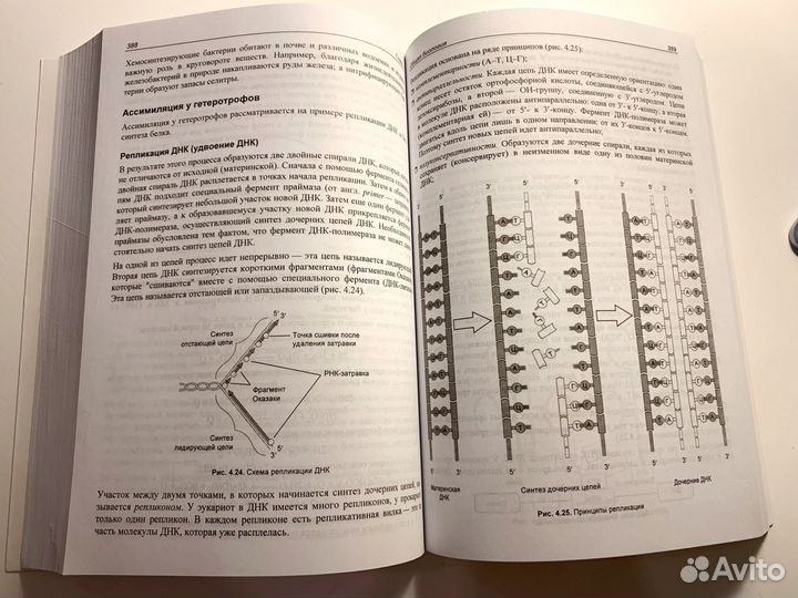 ЕГЭ по биологии практическая подготовка Соловков