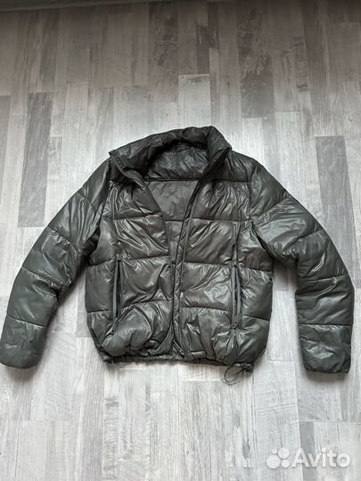 Куртка Massimo dutti оригинал