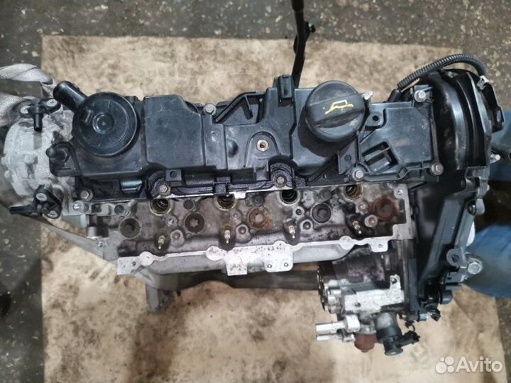 Двигатель Ford Ecosport 1.5 2015