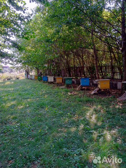 Инвентарь для работы на пасеки