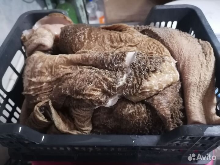 Рубец говяжий