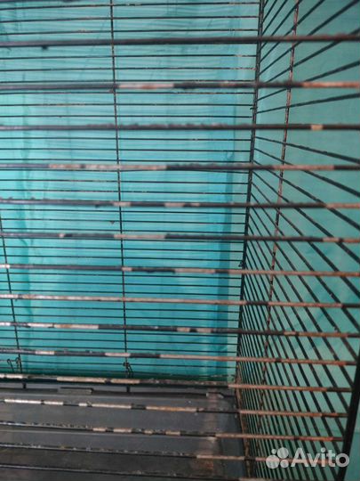 Клетка для крыс большая