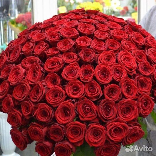 Розы.Доставка Розы.Букеты.Розы 101 51 21