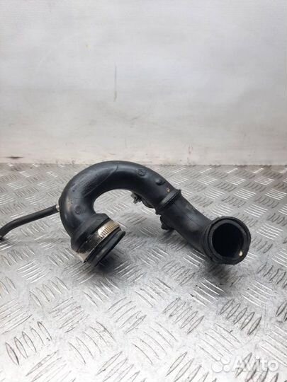 Патрубок интеркулера Renault Kangoo 1.5 K9K879