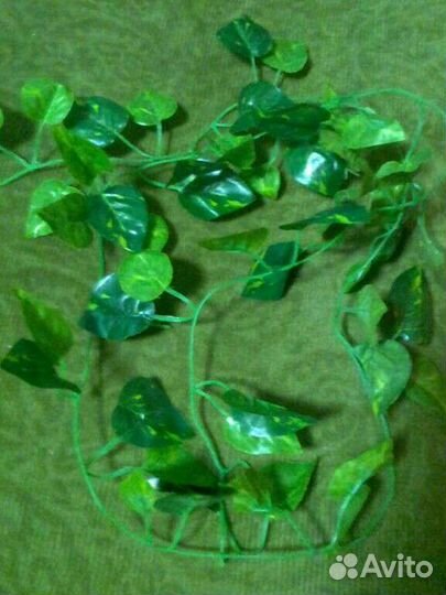 Лента с листьями