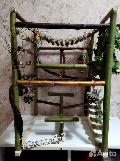 Стенд для попугая