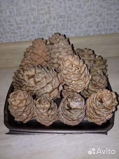 Шишки и подарочная Корзина плетеная с ручкой, 4 шт