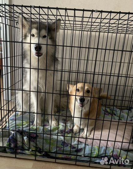 Клетка для животных