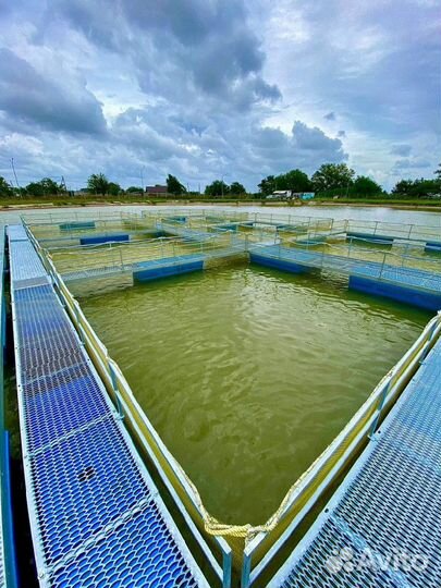 Садок для выращивания рыбы