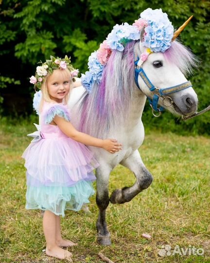 Конные прогулки,пони,фотосессия