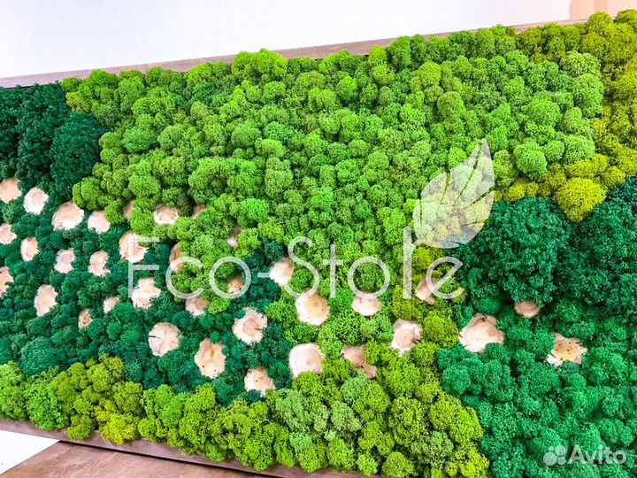 Картина со мхом и спиллами