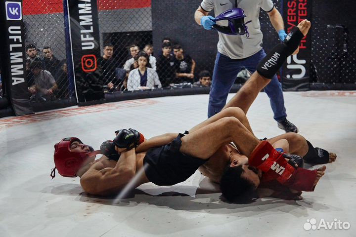 Тренировки по мма