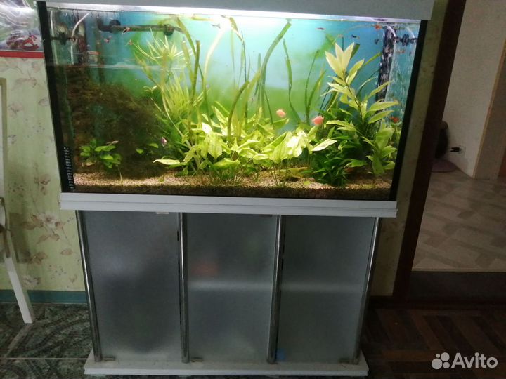 Аквариум 250л