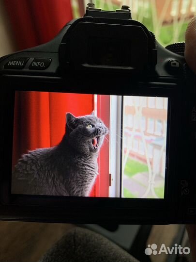 Фотоаппарат Canon EOS 600D