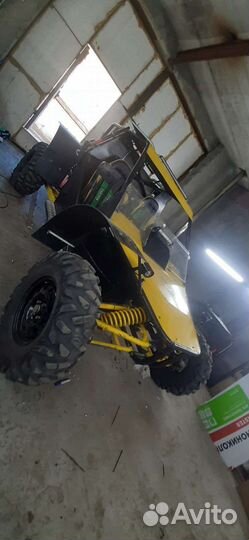 Багги беркут