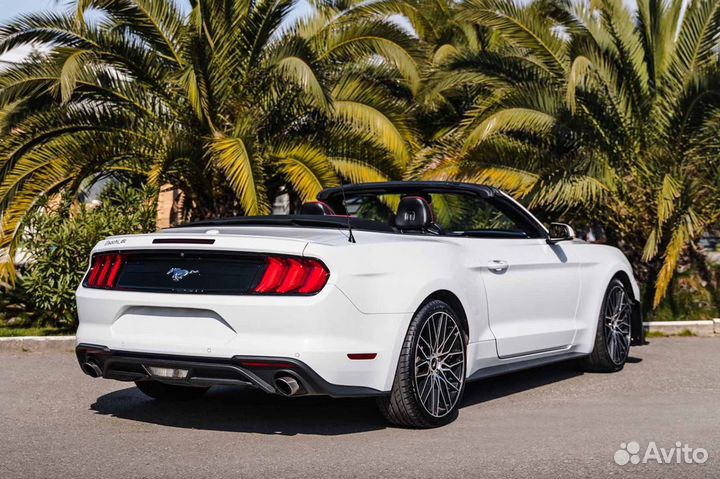 Аренда кабриолета, прокат авто Ford Mustang Shelby