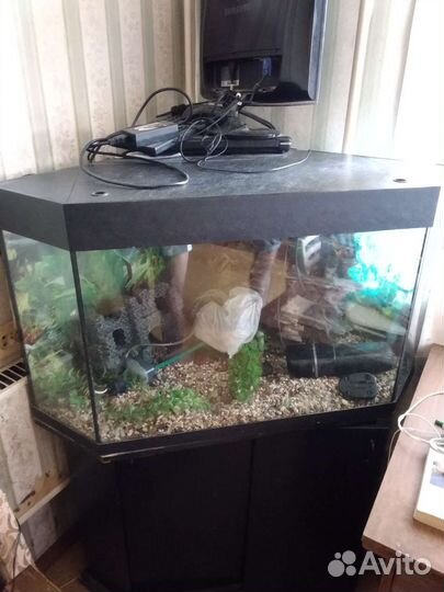 Аквариум