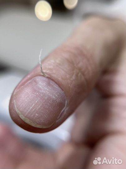 Обучение с нуля