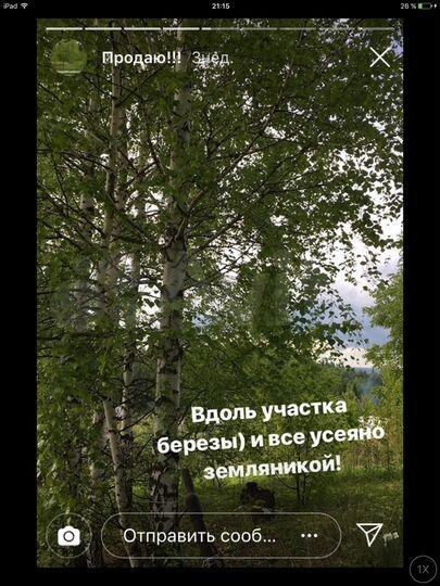 Участок 11 сот. (СНТ, ДНП)