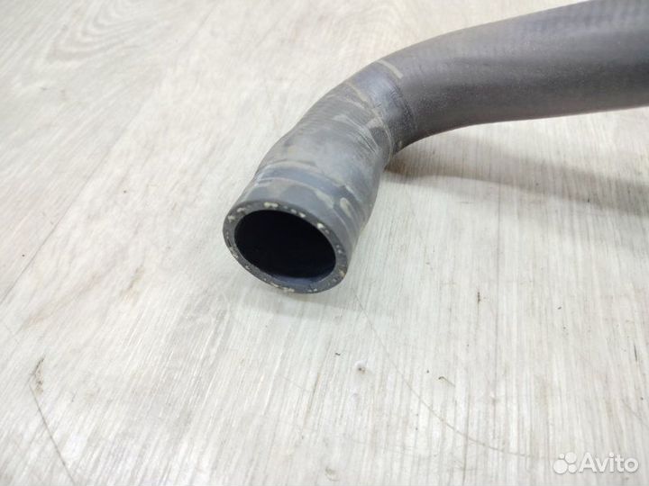 Патрубок системы охлаждения Ford Focus CB8 iqdb