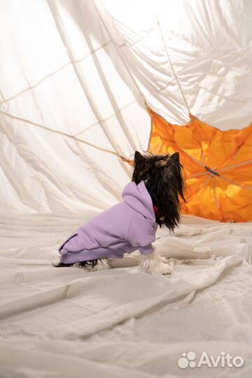 Одежда для собак