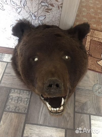Чучело