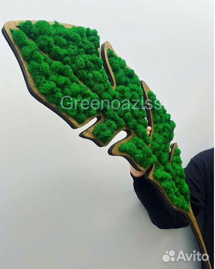 Фитопанно их мха