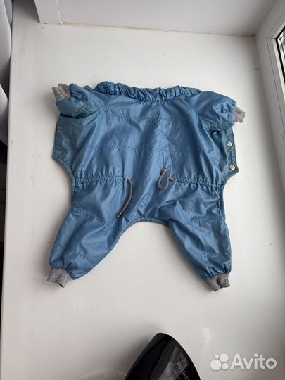 Комбинезон для маленькой собаки