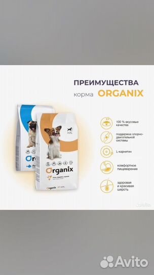 Корм для собак и кошек