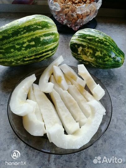 Семена коллекционных томатов