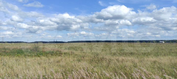 Участок 1,45 га (СНТ, ДНП)