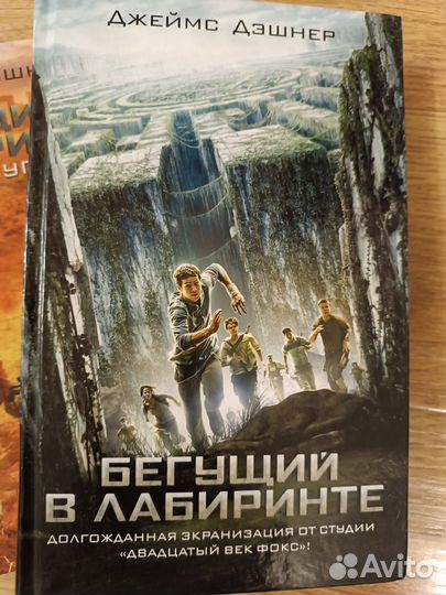 Серия книг «Бегущий в Лабиринте