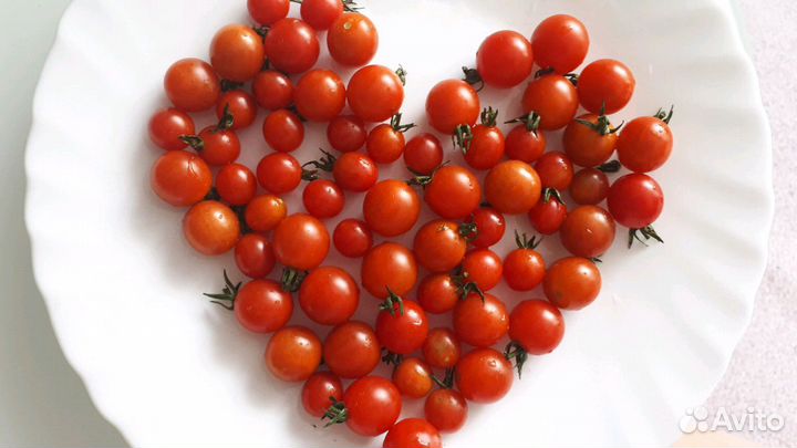 Семена томатов,перца,цветов,арбузы,земляника,фасол