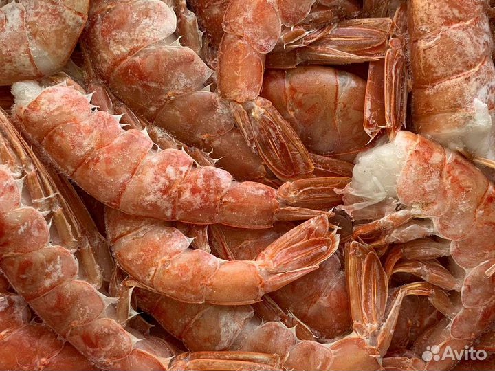 Лангустины креветки С1