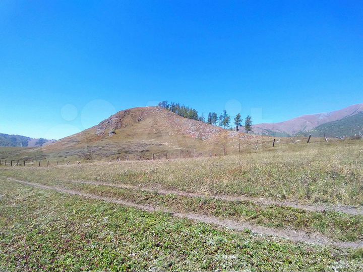 Участок 40 сот. (СНТ, ДНП)