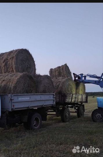 Услуги трактора мтз