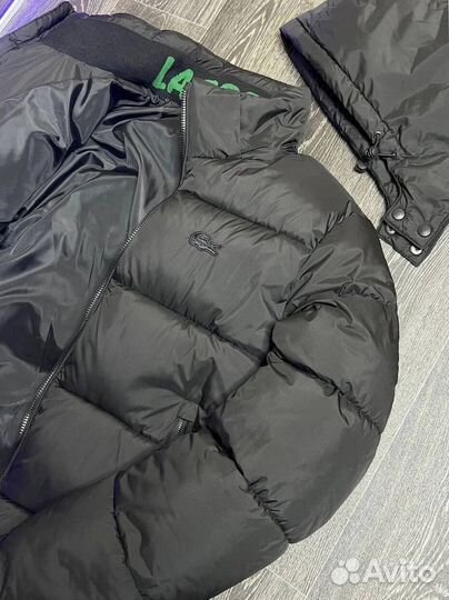 Зимние куркти Lacoste