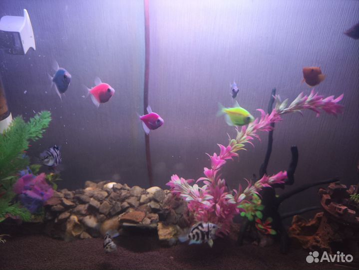 Украшение для аквариума