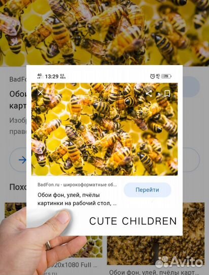 Пчелы на высадку