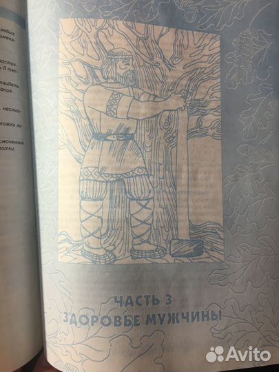 Большая Энциклопедия народной медицины