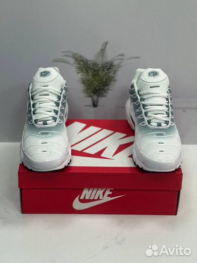 Кроссовки мужские Nike Air Max TN Plus