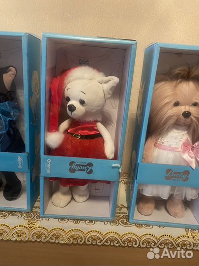 Собаки lucky doggy