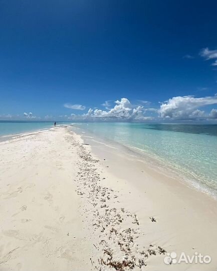 Горящие туры на Маврикий