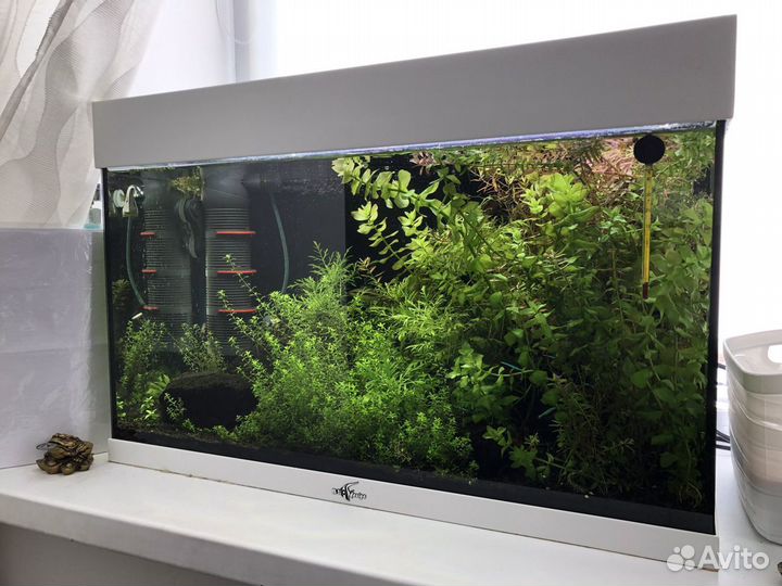 Аквариум Бииодизайн риф 80