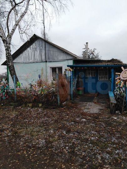 Дом 54 м² на участке 40 сот.