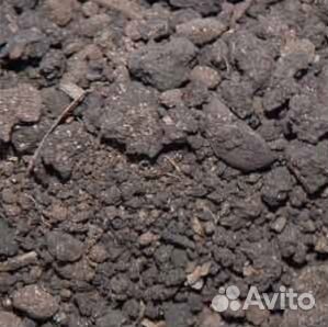 Грунт Растительный